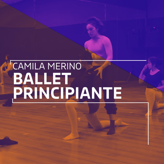 Plan Mensual Ballet Principiante | Abril